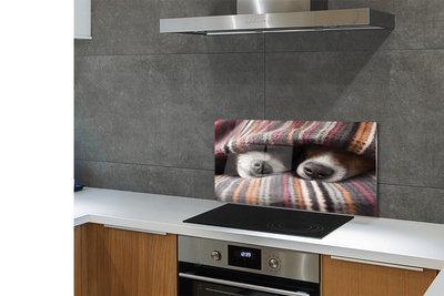 Painel de vidro Cães dormindo