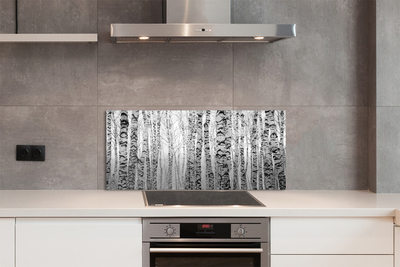 Painel de vidro Bétulas pretas e brancas