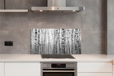 Painel de vidro Bétulas pretas e brancas