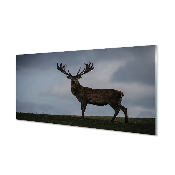 Painel de vidro Noite dos Veados