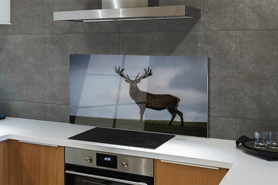 Painel de vidro Noite dos Veados