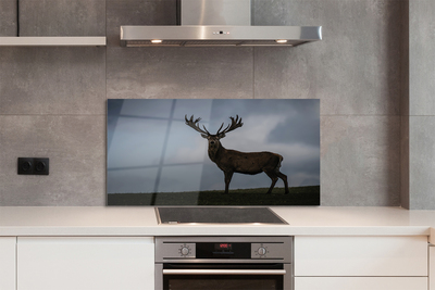 Painel de vidro Noite dos Veados