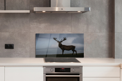 Painel de vidro Noite dos Veados