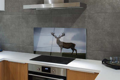 Painel de vidro Noite dos Veados