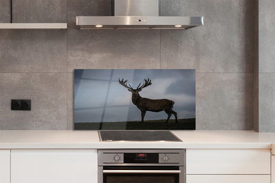 Painel de vidro Noite dos Veados