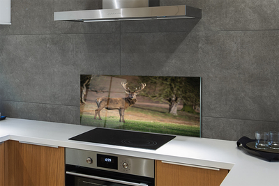 Painel de vidro Veado no campo