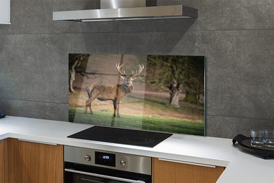 Painel de vidro Veado no campo