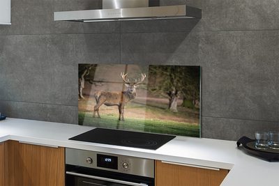 Painel de vidro Veado no campo