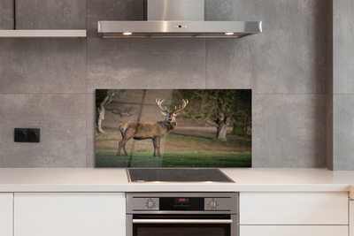 Painel de vidro Veado no campo