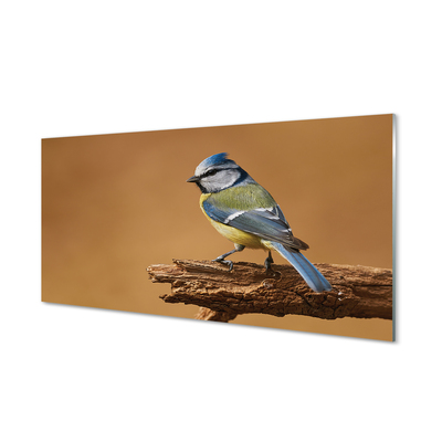 Painel de vidro Pássaro