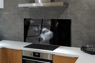 Painel de vidro Olhos de lobo