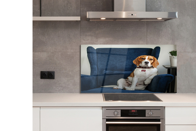 Painel de vidro Cachorro sentado