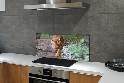 Painel de vidro Floresta do Tigre