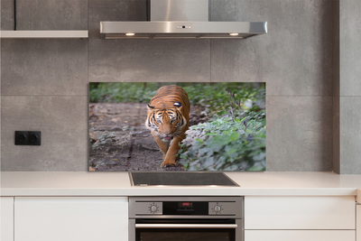 Painel de vidro Floresta do Tigre