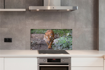 Painel de vidro Floresta do Tigre