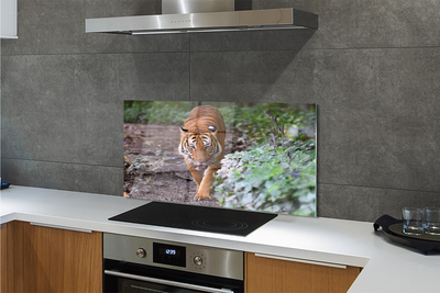 Painel de vidro Floresta do Tigre