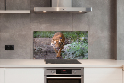 Painel de vidro Floresta do Tigre