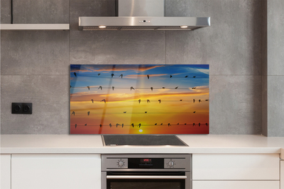 Painel de vidro Pássaros em cordas ao pôr do sol