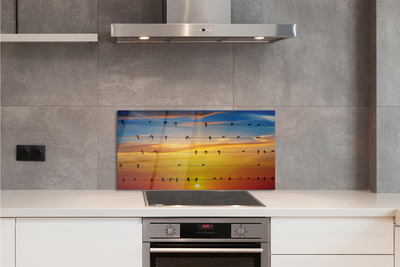 Painel de vidro Pássaros em cordas ao pôr do sol