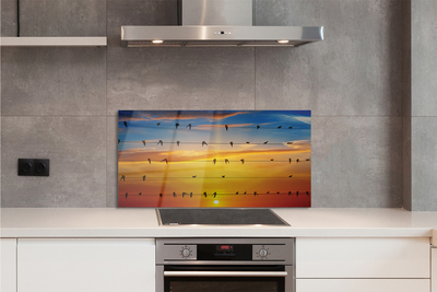 Painel de vidro Pássaros em cordas ao pôr do sol