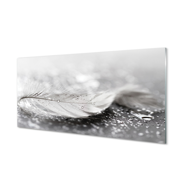 Painel de vidro Macro de gotas de penas