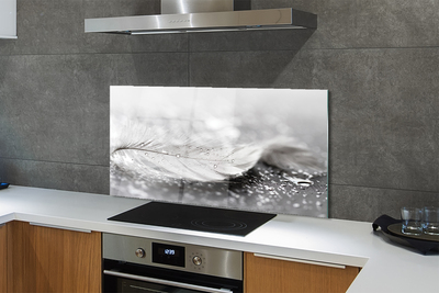 Painel de vidro Macro de gotas de penas