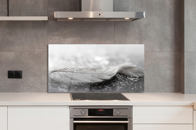 Painel de vidro Macro de gotas de penas