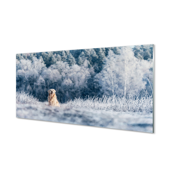 Painel de vidro Dog Mountain Winter