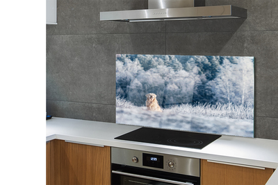 Painel de vidro Dog Mountain Winter