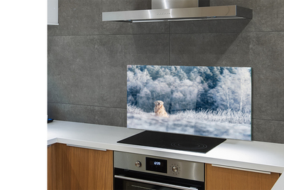 Painel de vidro Dog Mountain Winter