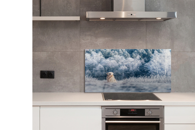 Painel de vidro Dog Mountain Winter