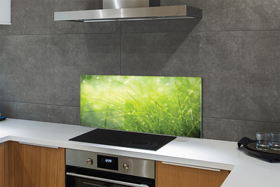 Painel de vidro Gotas de orvalho da grama