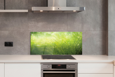 Painel de vidro Gotas de orvalho da grama