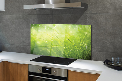 Painel de vidro Gotas de orvalho da grama