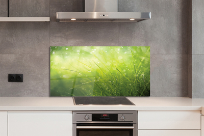 Painel de vidro Gotas de orvalho da grama