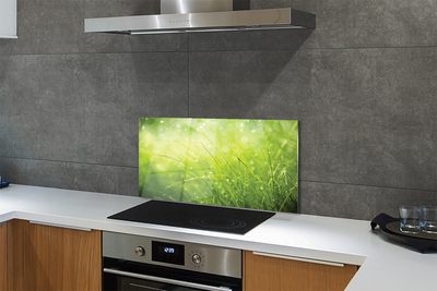 Painel de vidro Gotas de orvalho da grama