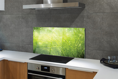 Painel de vidro Gotas de orvalho da grama