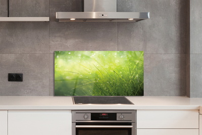 Painel de vidro Gotas de orvalho da grama