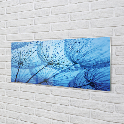 Painel de vidro Macro de gotas de dente-de-leão