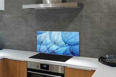 Painel de vidro Macro de gotas de dente-de-leão