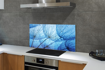 Painel de vidro Macro de gotas de dente-de-leão