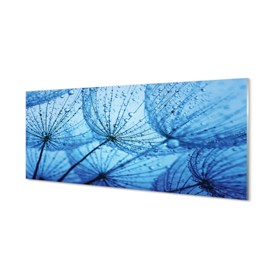 Painel de vidro Macro de gotas de dente-de-leão