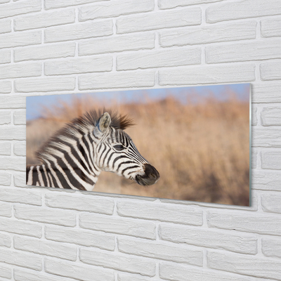 Painel de vidro Costelas