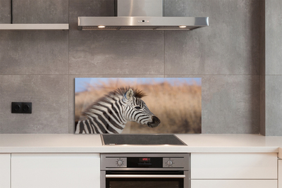 Painel de vidro Costelas