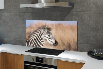 Painel de vidro Costelas