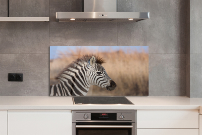 Painel de vidro Costelas