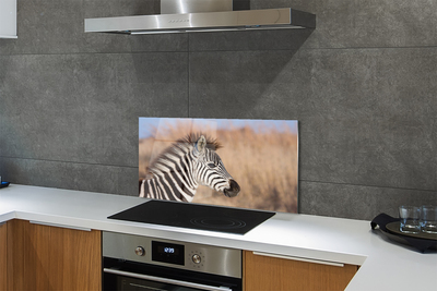 Painel de vidro Costelas