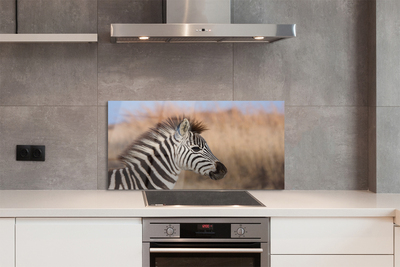 Painel de vidro Costelas