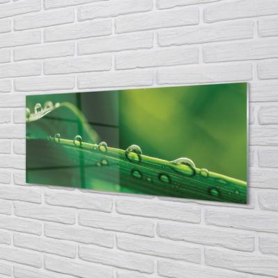 Painel de vidro Gotas de grama macro