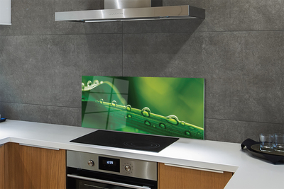 Painel de vidro Gotas de grama macro